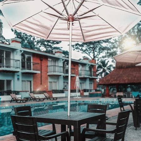 Hotel Y Restaurante Meson Del Gitano Caucasia Ngoại thất bức ảnh